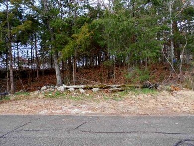 0 Cedar Ln unit 11301511, Kimberling City, MO 65686 - photo 3