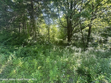 0 Medwyn Ln unit 20253322, Red Hook, NY 12571 - photo 7