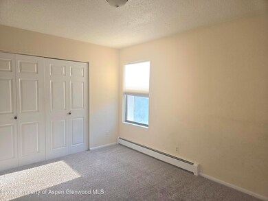 1527 Blake Ave unit 211, Glenwood Springs, CO 81601 - photo 7