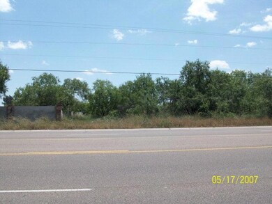 FM 88 Farm To Market 88, Weslaco, TX 78596 - photo 3