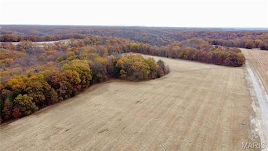 Tract 11 Polston Ln, Hickory Grove Township, MO 63357 - photo 3