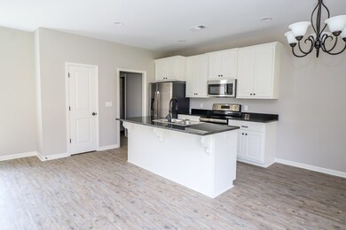 3017 Blackbriar Dr, Oxford, MS 38655 - photo 2