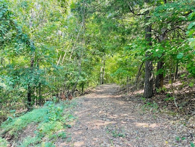 2362 N State Highway 265 unit 20 Acres M/L, Branson, MO 65616 - photo 6