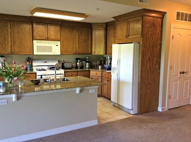 218 N Water St unit 302, Batavia, IL 60510 - photo 6