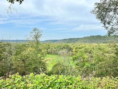 4336 Lookout Ln, Red Wing, MN 55066 - photo 2