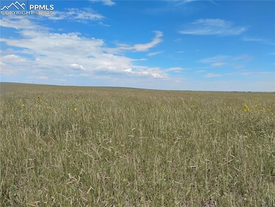 Parcel 16 Squirrel Creek Rd, Colorado Springs, CO 80928 - photo 4