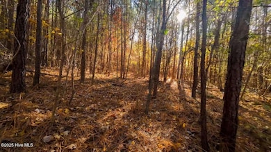 0 N Carolina 903, Littleton, NC 27850 - photo 3