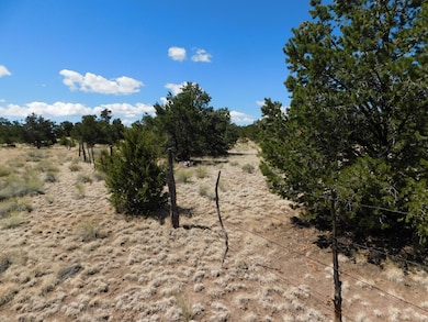 15 River Ln, Quemado, NM 87829 - photo 5