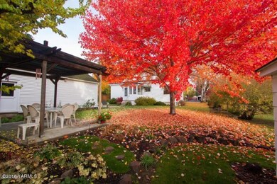 beautiful yard year round