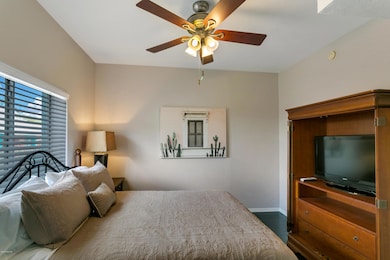 1135 E 8th St unit 1, Tucson, AZ 85719 - photo 7