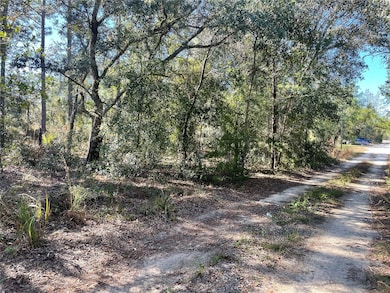 000 NE 51st Place, Williston, FL 32696 - photo 3