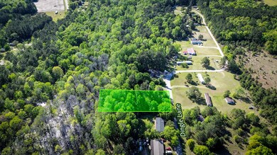 351 Dingle Ln, Saint Stephen, SC 29479 - photo 7