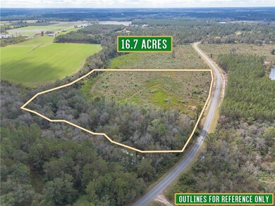 Tract #6 - 0 Saddleclub Rd, Hoboken, GA 31542 - photo 3