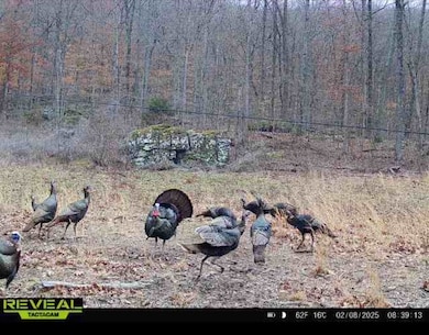 0 Cr 961 Rd unit 25667345, Green Forest, AR 72638 - photo 4