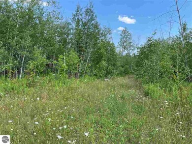 0 Esmond Rd unit 1890923, Hale, MI 48739 - photo 3