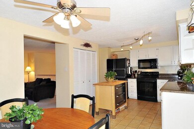 13108 N Point Ln, Laurel, MD 20708 - photo 6