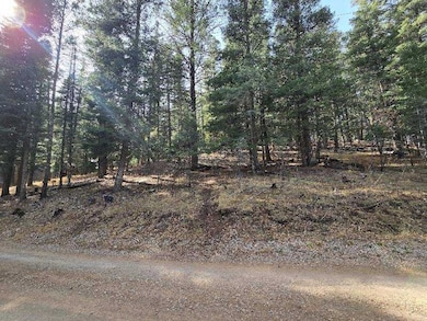 0 Gold Nuggett Alley unit 2 170304, Cloudcroft, NM 88317 - photo 2