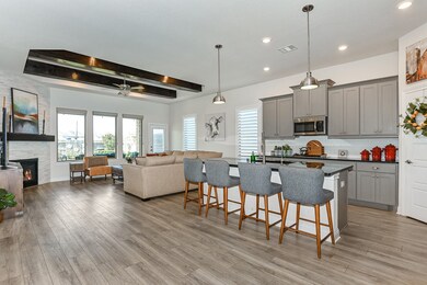 Living room / Kitchen