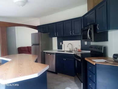 915 Porter Kite Rd, Mohawk, TN 37810 - photo 6