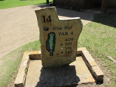 39273 Cedar Park Dr, Whitney, TX 76692 - photo 2