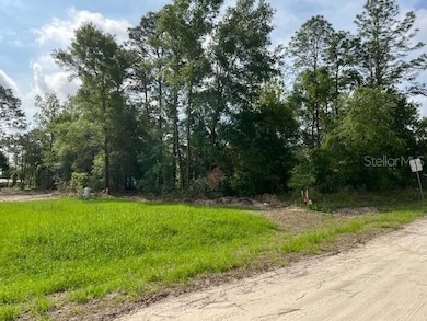 View of corner Lot 14 from rear starts at tree line.