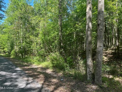 Road Frontage2
