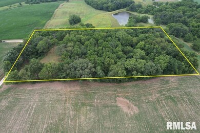 2395 Rolf Ln, Arenzville, IL 62611 - photo 3