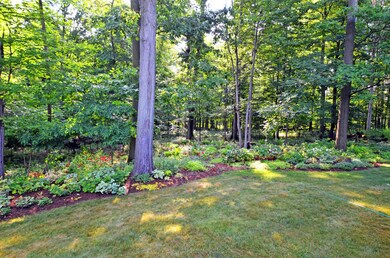 7BackYard