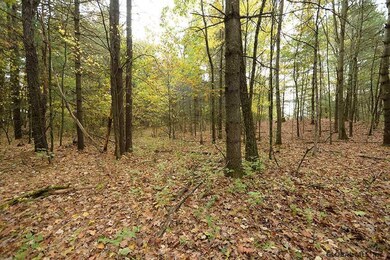 00 West Ln, Wilton, NY 12866 - photo 3