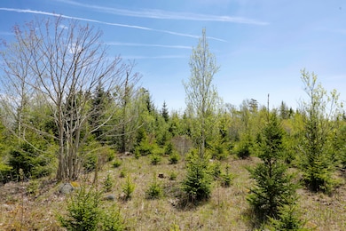 04-33CliffRd-lot-AT
