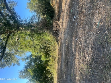 224 W Holly St, Magnolia, MS 39652 - photo 4