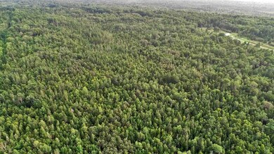 maine-woods-land-ashland