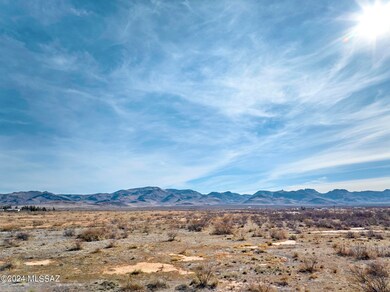 40.74 Acre N Dill Rd unit 302, San Simon, AZ 85632 - photo 4