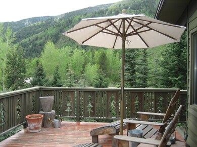42705 Colorado 82, Aspen, CO 81611 - photo 4