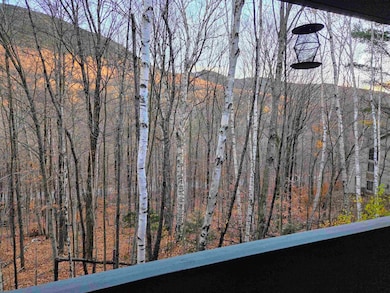 36 Easterly Rd unit 2, Lincoln, NH 03251 - photo 6