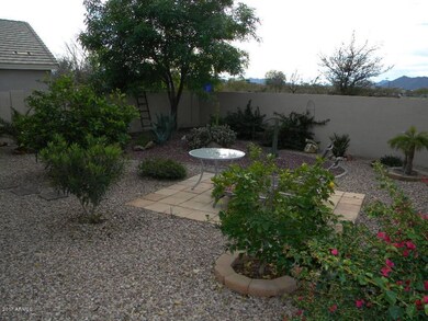 Nice Backyard
