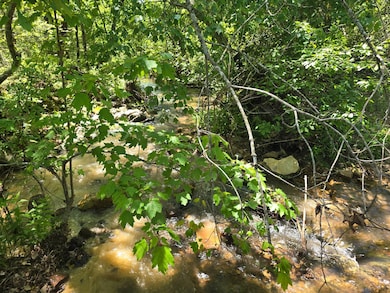 TR 18&19 Long Creek Pass, Albion, OK 74571 - photo 6