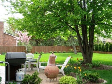 Rear Patio