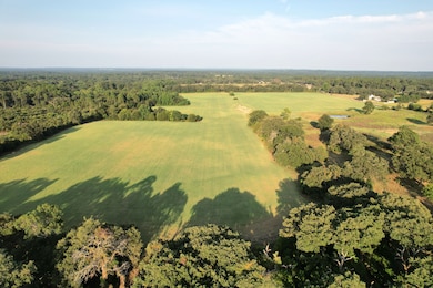 717 County Road 2320, Mineola, TX 75773 - photo 2