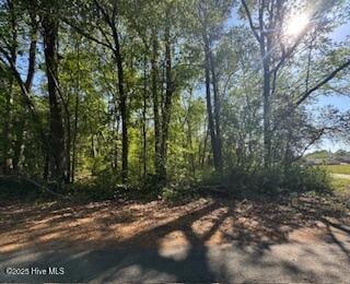 0 5th St unit 100501693, Hamlet, NC 28345 - photo 7