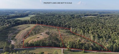 00 Flatwoods Rd, Camden, TN 38320 - photo 5