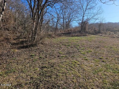 Tbd Hamblen St S, Big Stone Gap, VA 24219 - photo 7