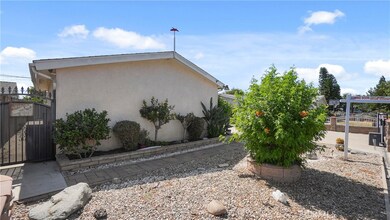 low maintenance yard