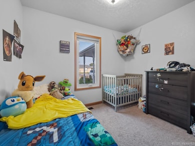 2756 Snowy Range Rd, Laramie, WY 82070 - photo 5