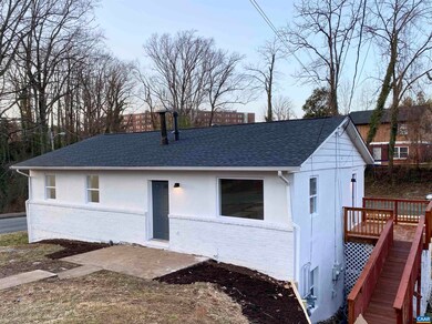 1307 King St, Charlottesville, VA 22903 - photo 4