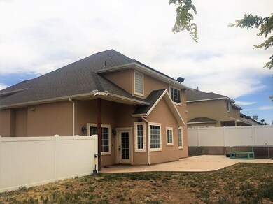 Large Back Yard