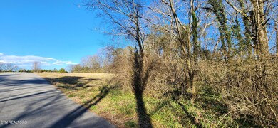 Woodline ends- Field begins