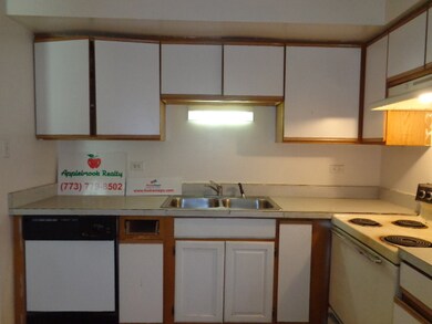 17963 Amherst Ct unit 103, Country Club Hills, IL 60478 - photo 4