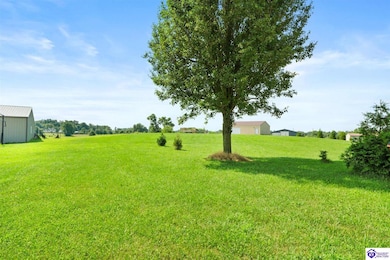 57 Stirrup Ct, Rineyville, KY 40162 - photo 3