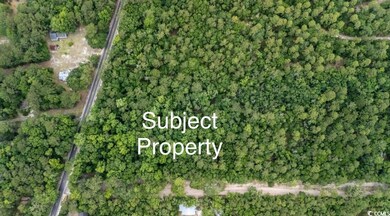 Parcel G S Island Rd, Georgetown, SC 29440 - photo 5